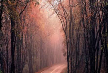 与球队在一起！媒体人：郭艾伦现身广州男篮本赛季收官战.