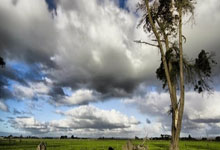 欧博：[NBA]库里25000分里程碑 勇士主场击退活塞.