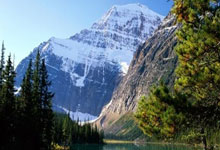 欧博：阿玛德：想为曼联效力一辈子；球队更熟悉阿莫林体系了相信会成功.