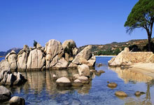 欧博：大马丁：为球队的表现感到骄傲，我们将带着尊重和责任感对阵巴西.